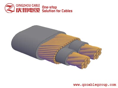 SERVICE ENTRANCE CONCENTRIC CABLE-DOMINICAN