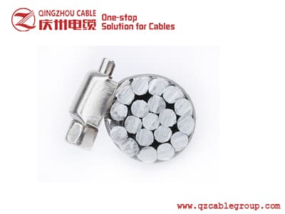 AAC 1350 CONDUCTOR