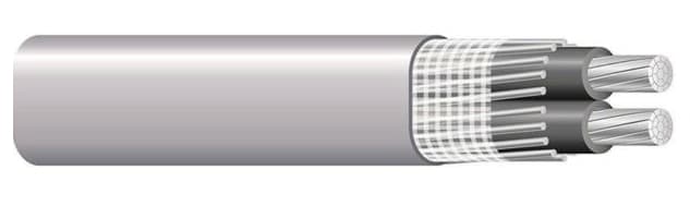 ANTI-FRAUD COPPER ALUMINUM- SEU SER