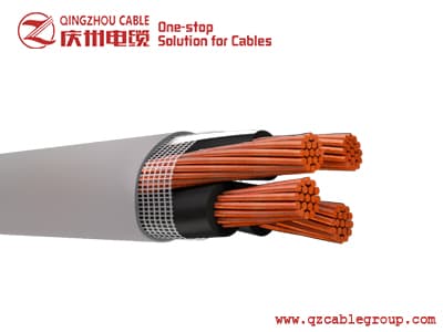 ANTI-FRAUD COPPER ALUMINUM- SEU SER