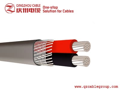 ANTI-FRAUD COPPER ALUMINUM- SEU SER
