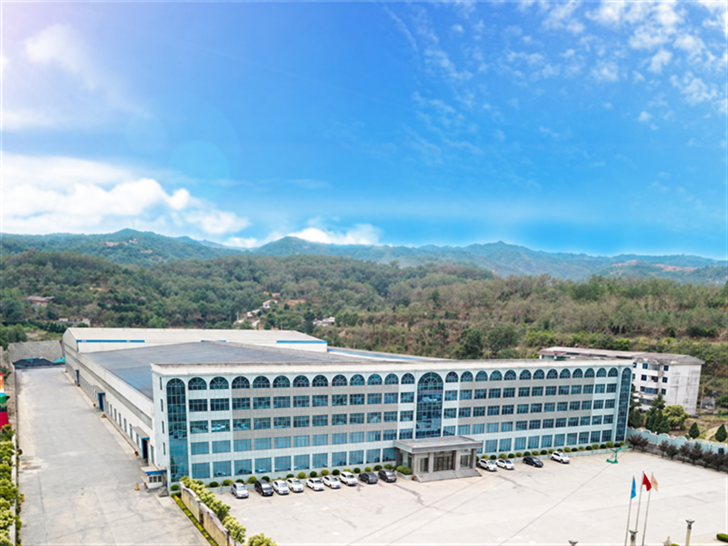 Company profile 3