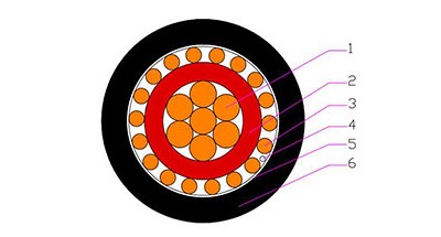 SERVICE ENTRANCE CONCENTRIC CABLE-AFRICA
