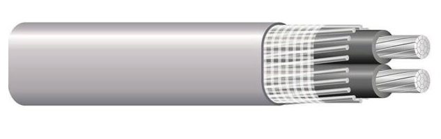 ANTI-FRAUD COPPER ALUMINUM- SEU SER