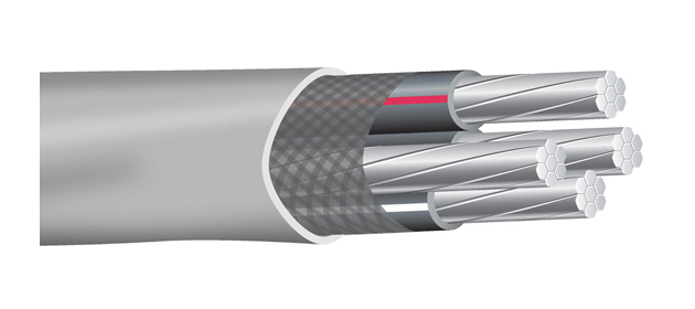 ANTI-FRAUD COPPER ALUMINUM- SEU SER
