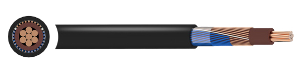 Concentric and Split Concentric Cables-BS