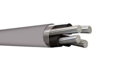 ANTI-FRAUD COPPER ALUMINUM- SEU SER
