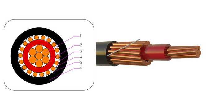 SERVICE ENTRANCE CONCENTRIC CABLE-AFRICA technical illustration