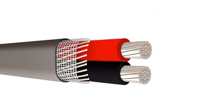 ANTI-FRAUD COPPER ALUMINUM- SEU SER